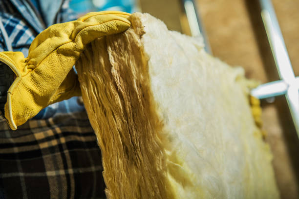 Best Specialized Insulation Services in Mint Hill, NC
